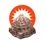 stock-img